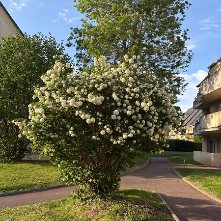 Avec Piscine Chauffee Et Tennis Proche Deauville *